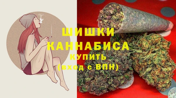 PSILOCYBIN Балабаново