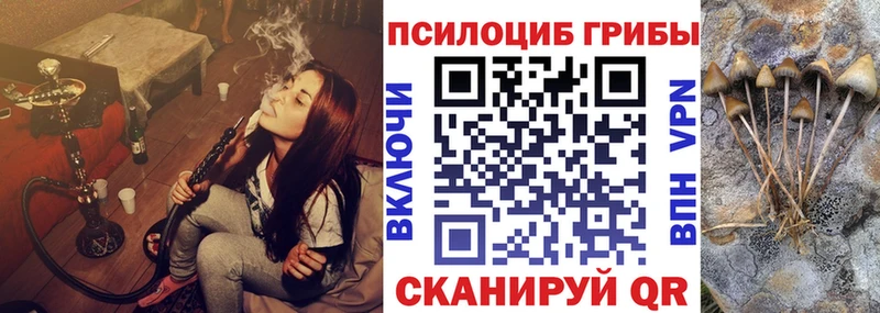 omg вход  цена наркотик  Волгоград  Псилоцибиновые грибы Cubensis 